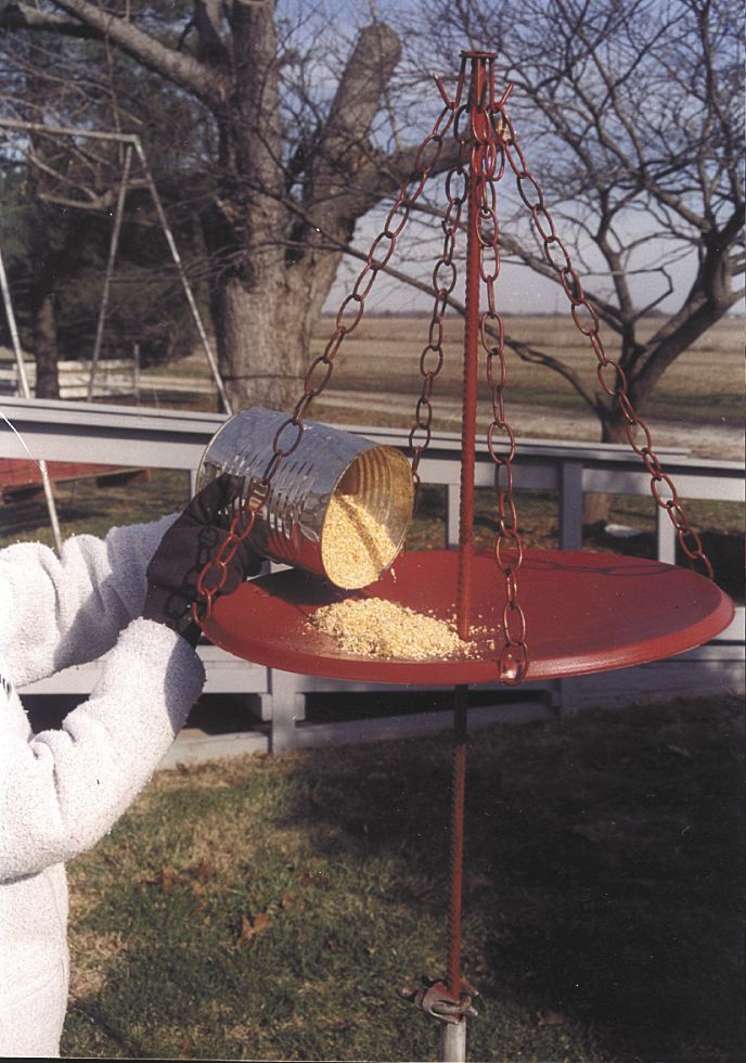 satellite dish bird feeder