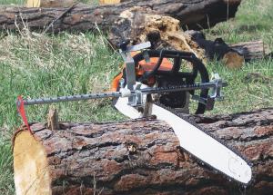 When Is The Right Time to Cut Wood